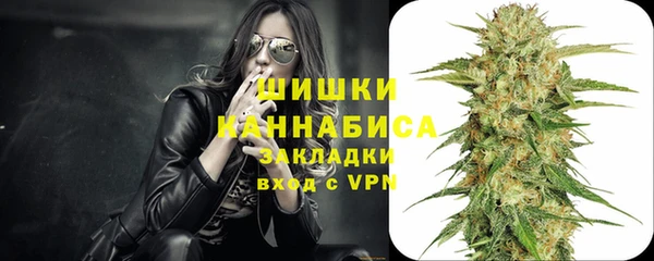 мяу мяу мука Горно-Алтайск