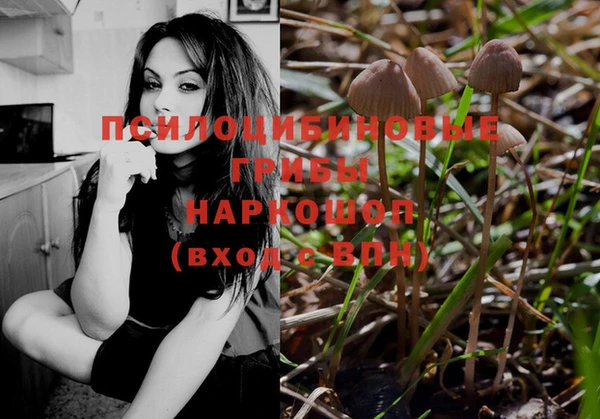 не бодяженный Горнозаводск