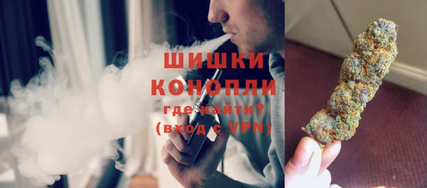 мяу мяу мука Горно-Алтайск