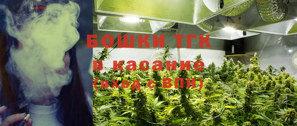 не бодяженный Горнозаводск