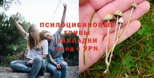 мдпв Верея