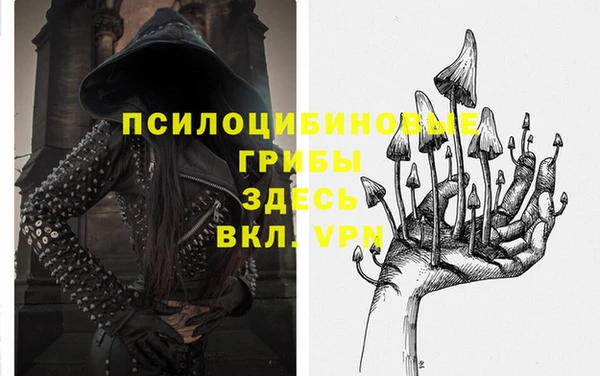 мяу мяу мука Горно-Алтайск