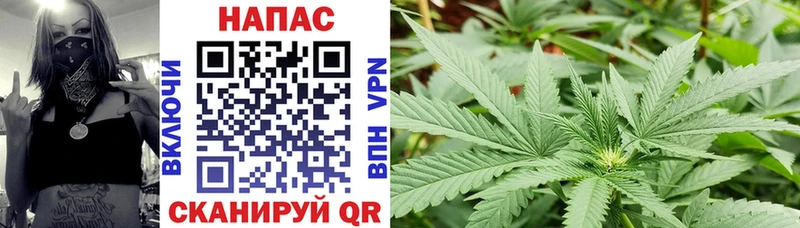 МАРИХУАНА индика  Зеленокумск 